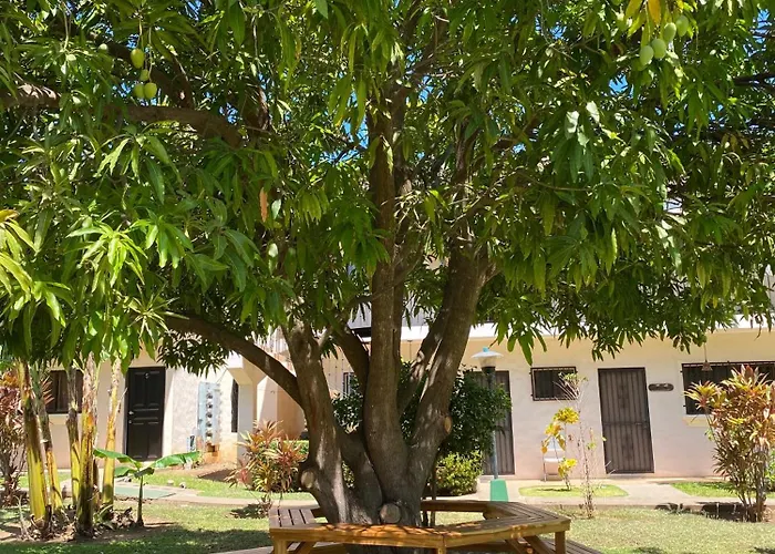Soleil Ocotal